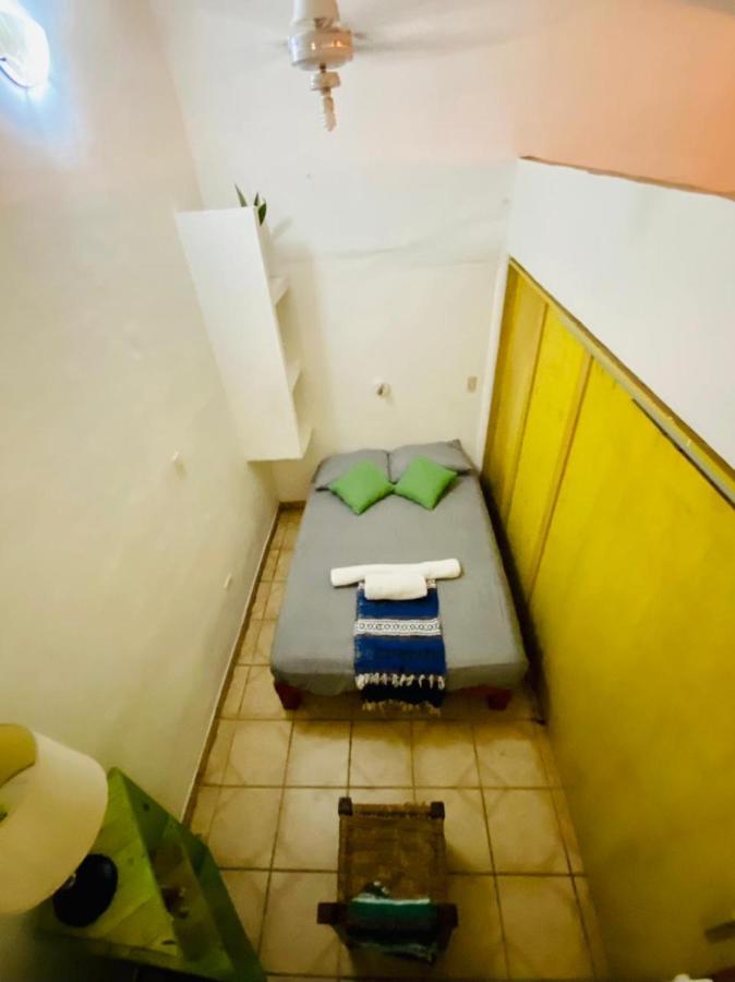 La Selva Hotel San Francisco  Bagian luar foto